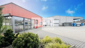 Gewerbeensemble Produktionshallen + Bürogebäude und umfangreiche Freiflächen 63579 Freigericht, Halle